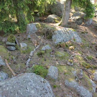 Vehmaan, Taivassalon ja Kustavin Alueleiri 2026