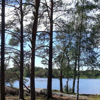 Vehmaan kesäleiri 2026